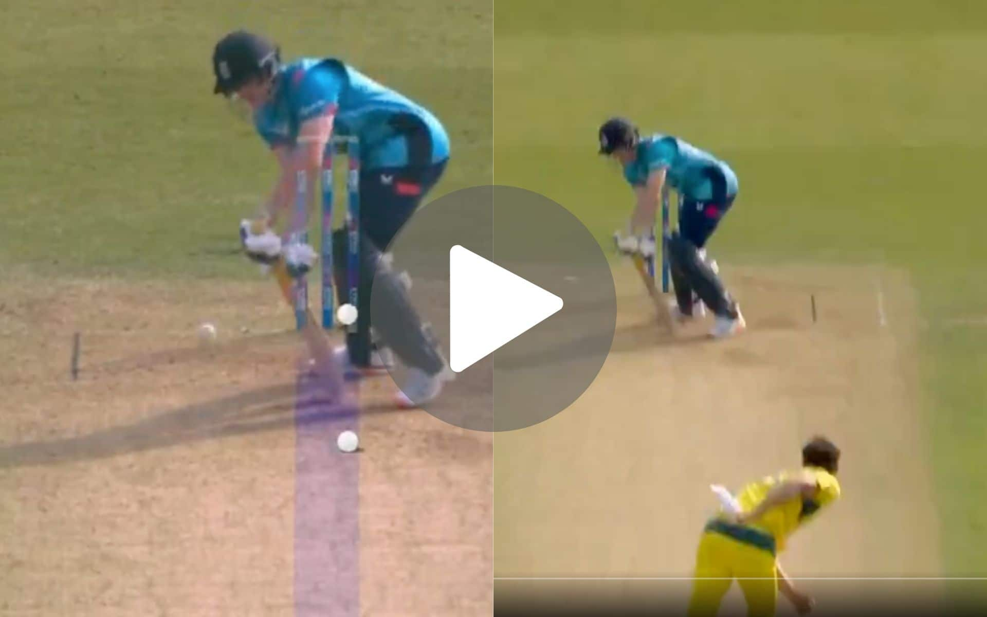 [Watch] Mitchell Starc Hunts Down Clueless Harry Brook With A Killer Inswinging Yorker